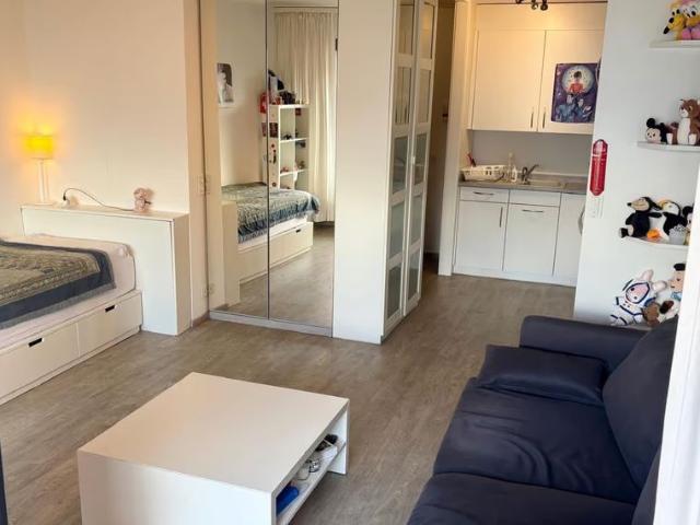 1 Zimmer, 36 m²
