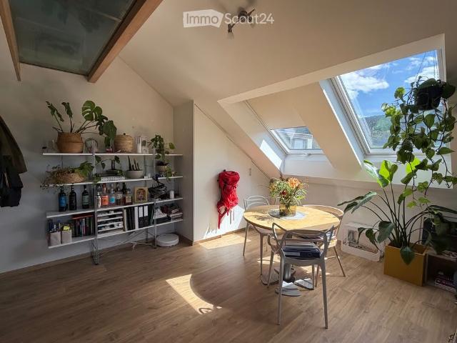 1 Zimmer, 36 m²