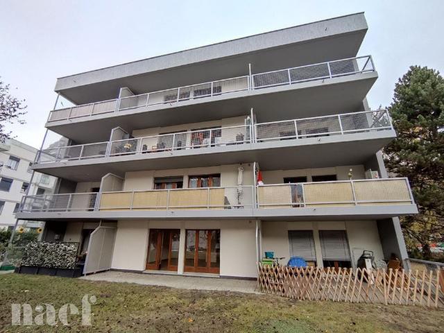 1 Zimmer, 39 m², EG
