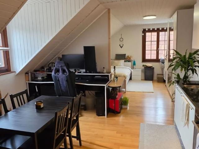 1 Zimmer, 39 m²