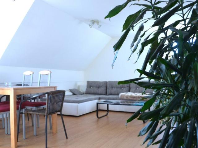1 Zimmer Wohnung | Miete | Zentral