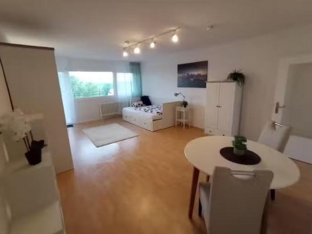 1 Zimmer Wohnung mieten in Frankenthal 67227 44 m²