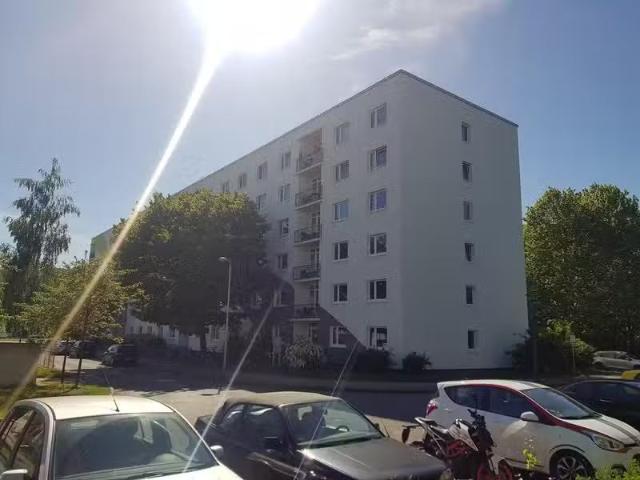 1 Zimmer Wohnung mieten in Greifswald 17491 20 m²