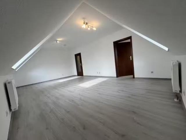 1 Zimmer Wohnung mieten in Schneeberg/Erz. 08289 42 m²