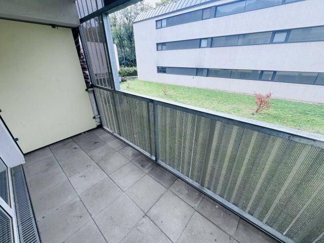 1 Zimmer Wohnung mit Loggia in Purkersdorf zu vermieten