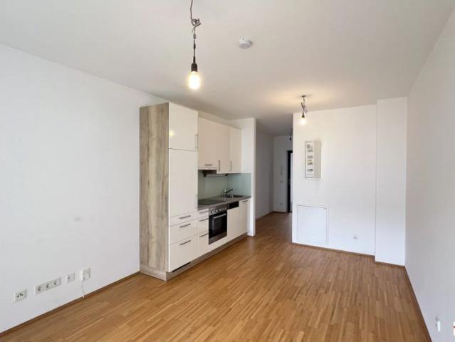 1 Zimmer Wohnung mit Loggia – urban & ruhig in Graz