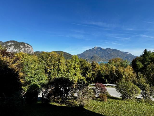 1 Zimmer Wohnung mit Panoramablick