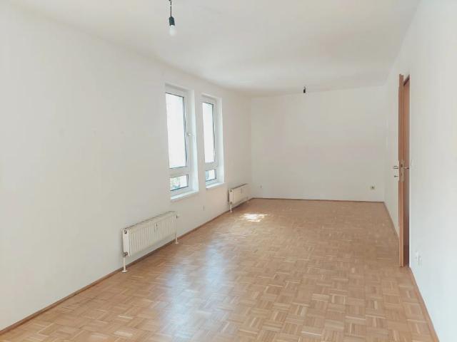 1 Zimmer Wohnung nahe Westbahnhof Zinckgasse 13 Top 10