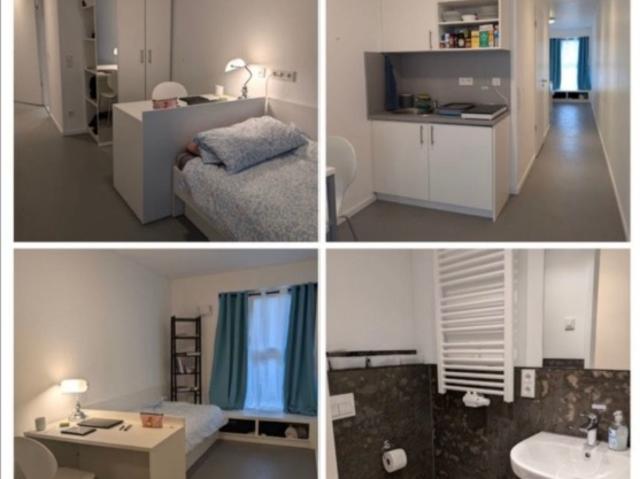 1 zimmer wohnung neben Planterwald