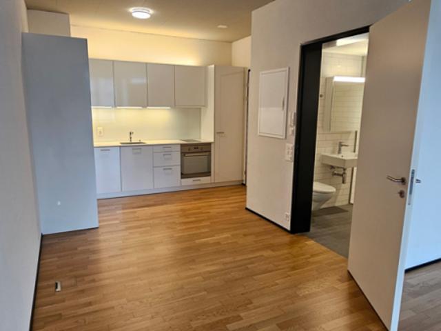 1 Zimmer Wohnung, Ideal für Pendler in Suhr zu vermieten