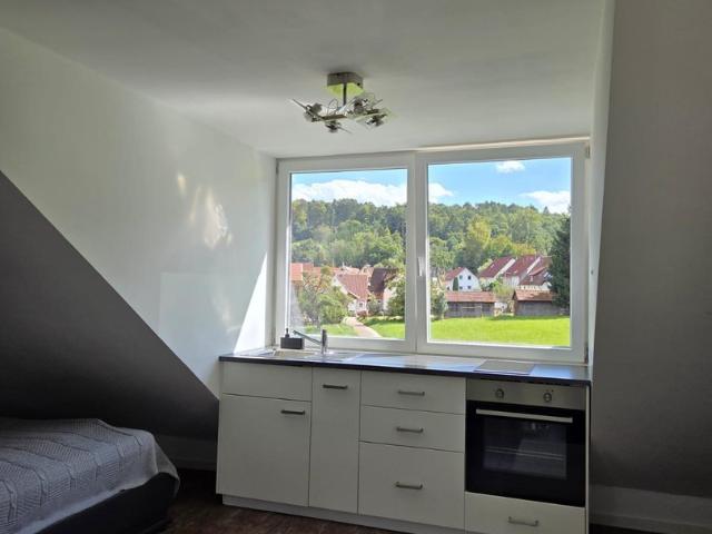 1 Zimmer Wohnung im Grünen