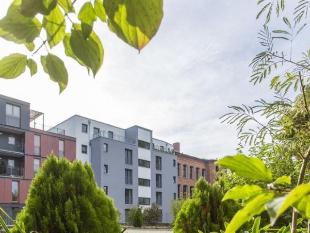 1 Zimmer Wohnung in Magdeburg Altstadt