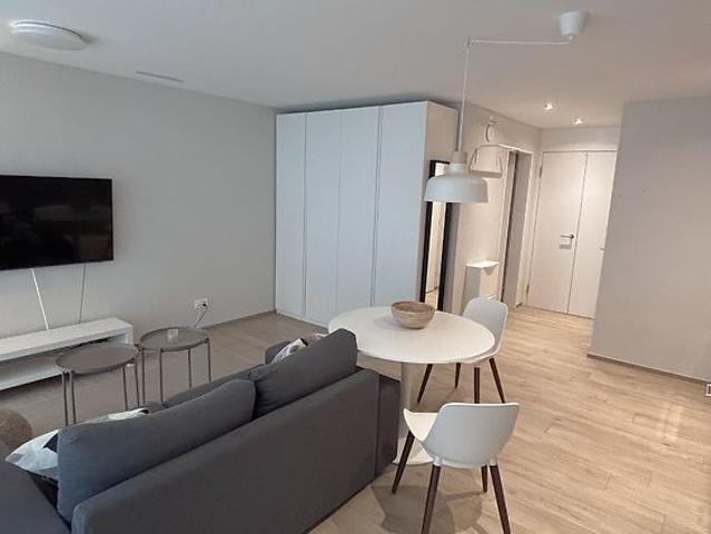 1½ Zimmer Wohnung in Neuhausen am Rheinfall SH, möbliert, auf Zeit