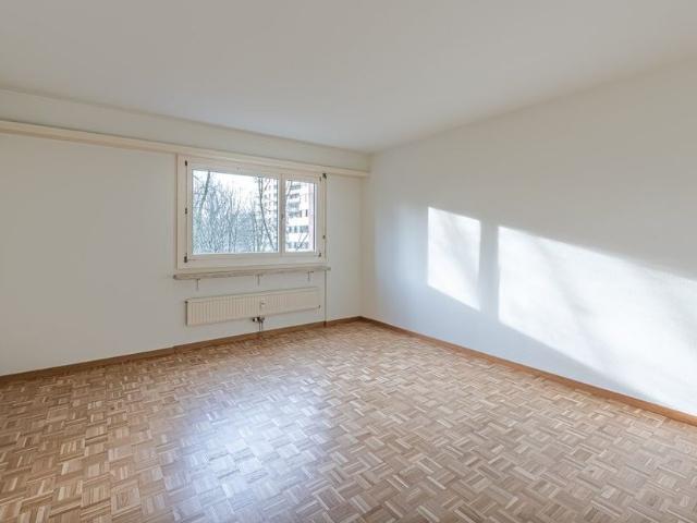 1 Zimmer Wohnung in Basel mieten