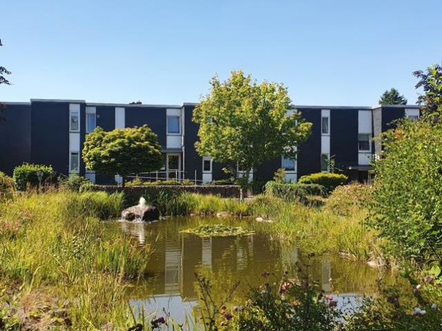 1 Zimmer Wohnung in Dahlhausen für Senior*innen mit WBS
