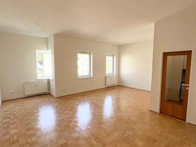 1 Zimmer Wohnung in Jakomini Provisionsfrei!