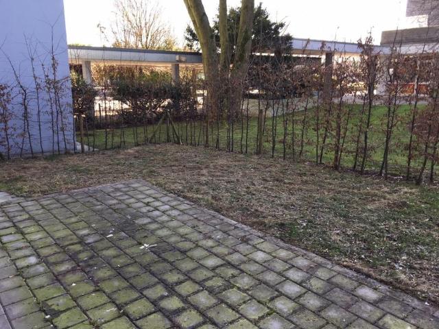 1 Zimmer Wohnung in Querenburg