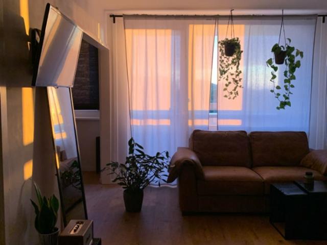 1 Zimmer Wohnung in St Pauli