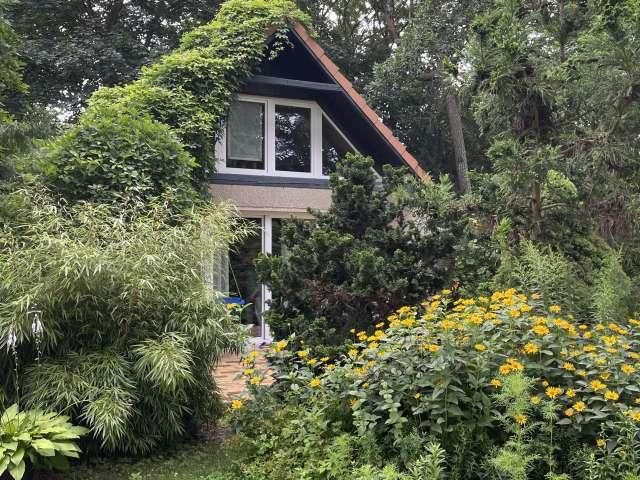 1 Zimmer Wohnung zur Miete in Strausberg, Berlin