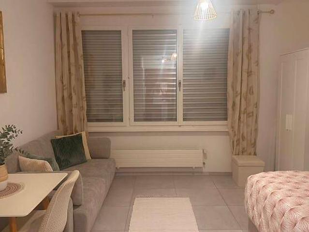 1 Zimmer Wohnung in Vevey VD, möbliert, auf Zeit