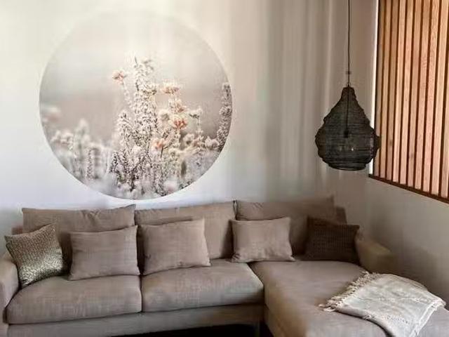 1 Zimmer Wohnung in Wachsbleiche, Bonn Castell