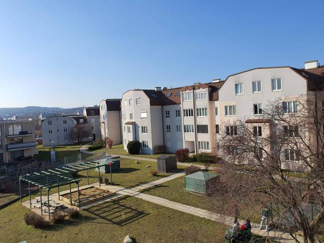 1 Zimmer Wohnung, Top 6