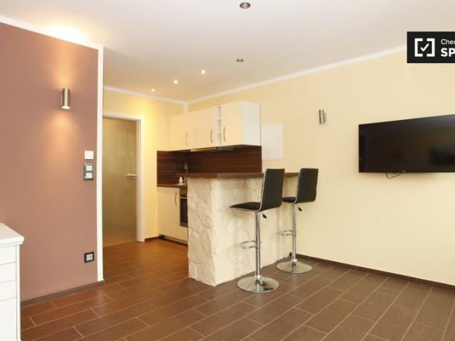 1 Zimmer Wohnung zu vermieten in Treptow Köpenick, Berlin