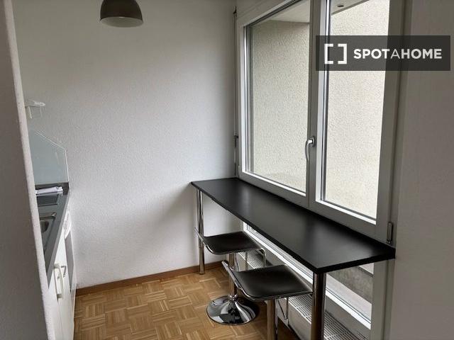 1 Zimmer Wohnung zu vermieten in Hochschulen, Zürich