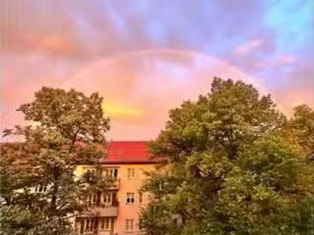1 Zimmer Wohnung zur Miete in Berlin