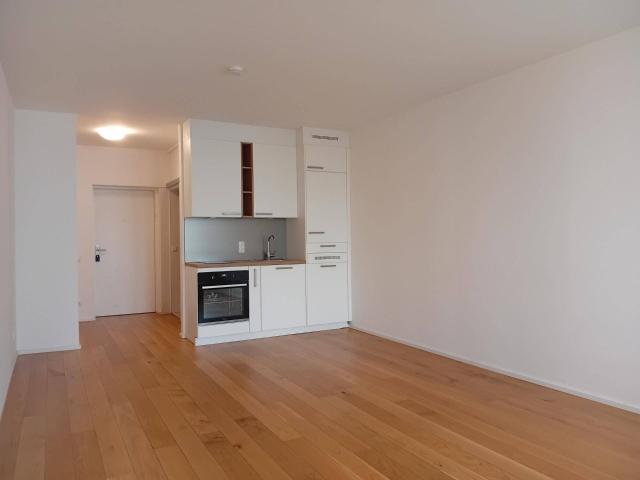 1 Zimmer Wohnung | 3m² Loggia | Linz Urfahr