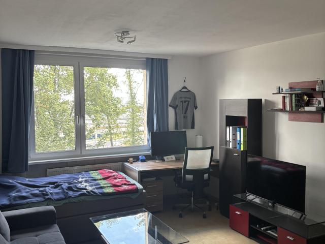 1 Zimmer Wohnung