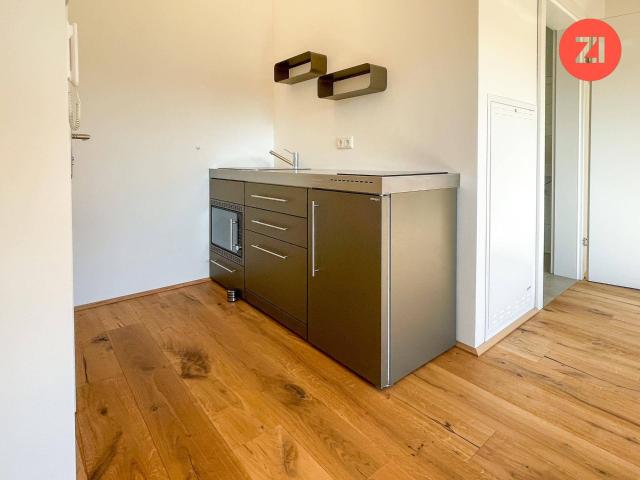 1 Zimmer Wohnungen mit hochwertiger Ausstattung und Küche