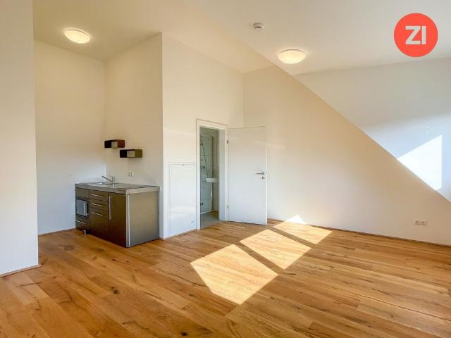 1 Zimmer Wohnungen mit hochwertiger Ausstattung und Küche