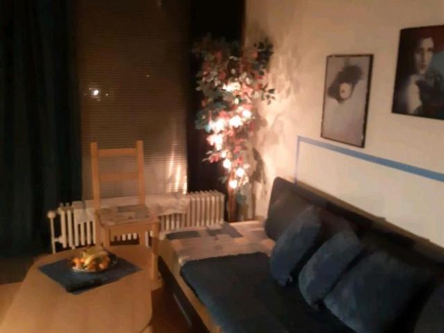 1 Zimmer Wohnungmöbliert