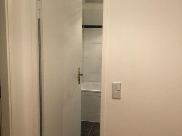 1 Zimmer Apartment frisch renoviert mit EBK + Elektrogeräte