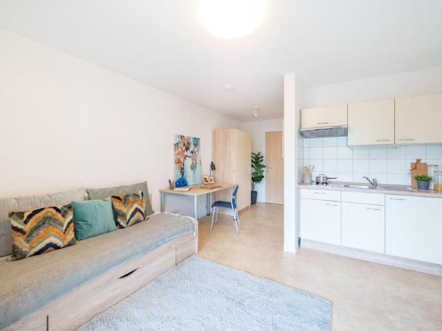 1 Zimmer Apartment in zentraler Lage von Dresden Neustadt zur Miete Wentzel Dr