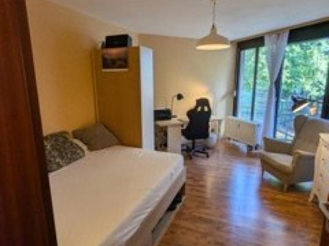 1 Zimmer Apartment mit Balkon in Gießen Süd