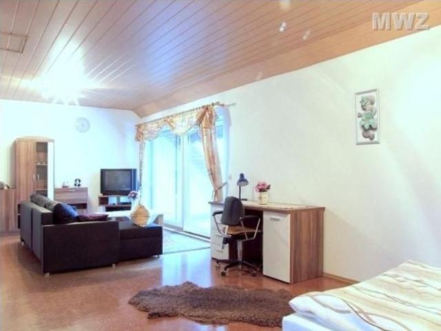 1 Zimmer Apartment mit Loggia, 10 km von Heidelberg
