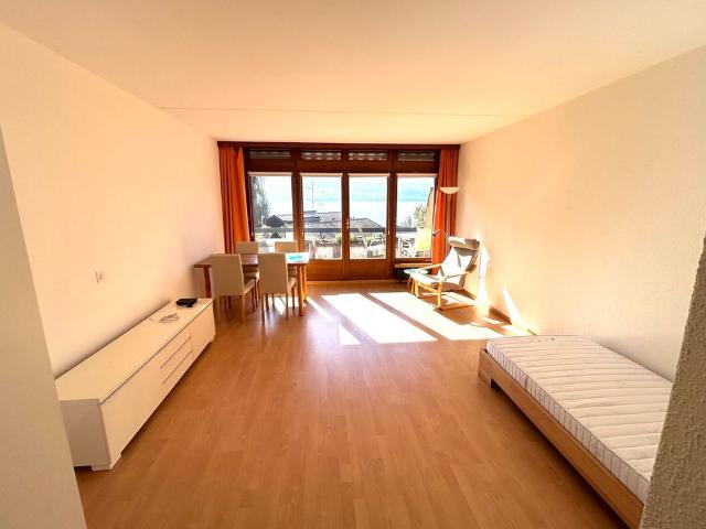1 Zimmer Apartment mit Seeblick in Gunten