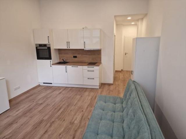 1 Zimmer Appartement in 97421 Schweinfurt 10692