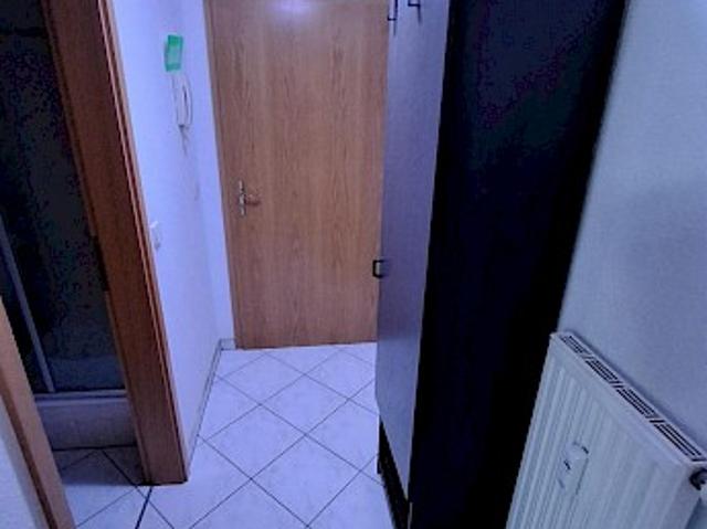 1 Zimmer Appartement möbliert mit Balkon und kleiner EBK