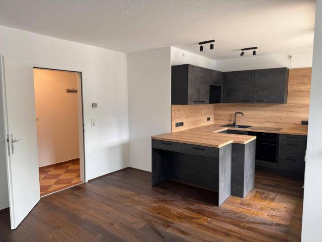 1 Zimmer Erdgeschosswohnung mit Terrasse ab September 2026