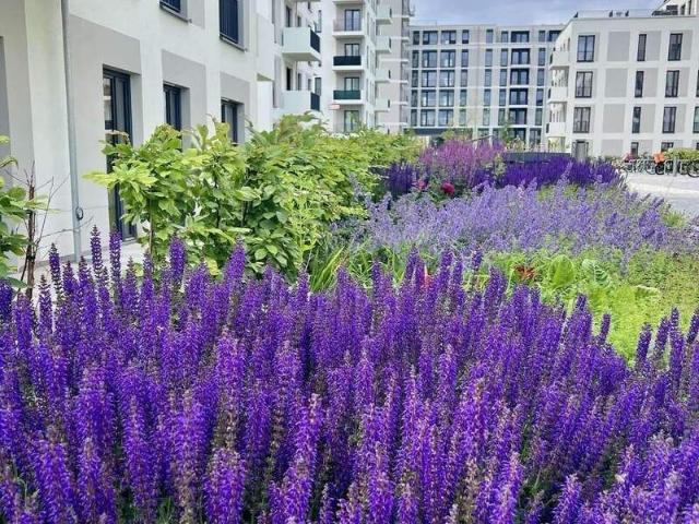 1 Zimmer mit Balkon