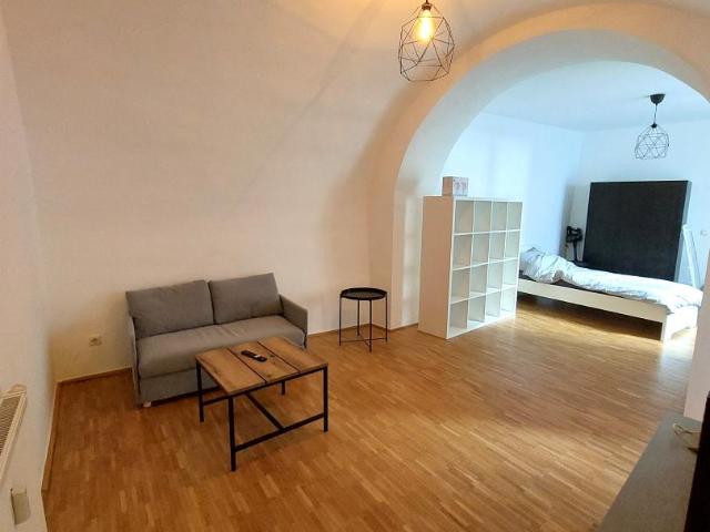 1 Zimmer möblierte Altbauwohnung in Welser Altstadt zu vermieten!