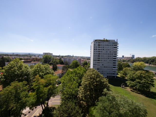 1 Zimmerwohnung direkt am Rhein!