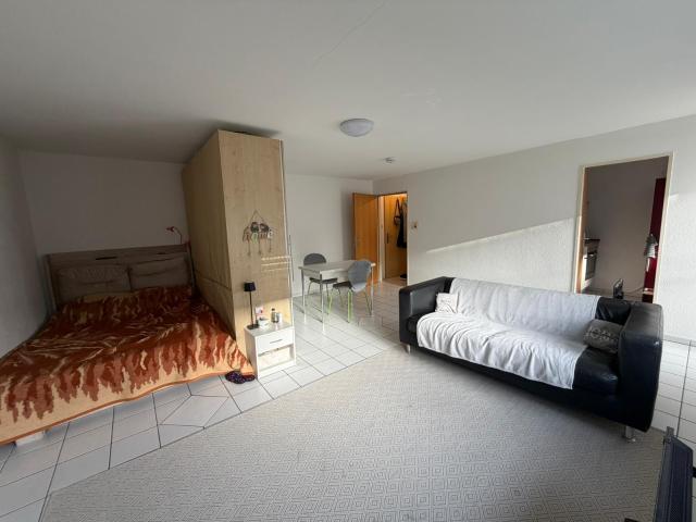 1 Zimmerwohnung im Kern von Lottstetten mieten
