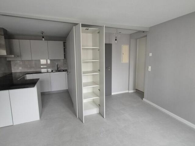 1½ Zimmerwohnung in Villmergen