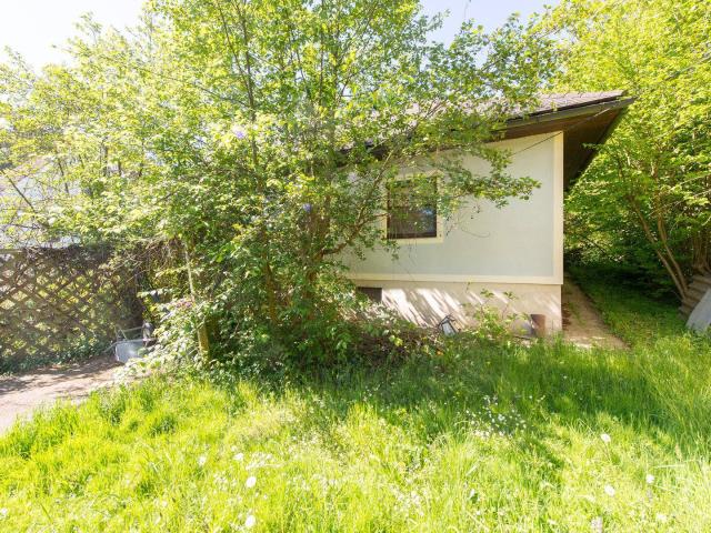 1.079 m² Grund für Ihre Ideen – Sanierungsobjekt nahe Feldbach