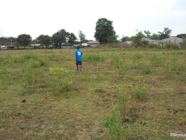1. 08Ha. lot land property in Castillejos for housing development