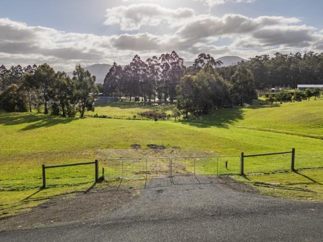 1.125ha of Sun, Space & Pasture